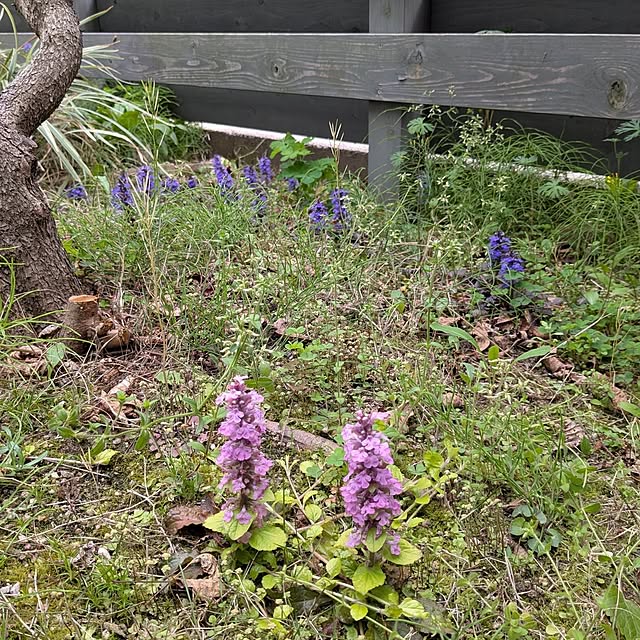 Ruii25さんの部屋