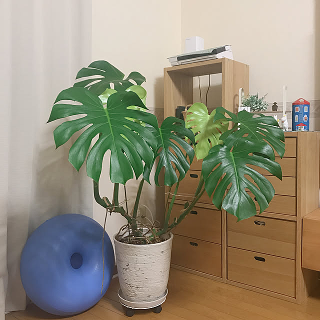 yukaさんの実例写真