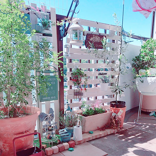 y.i.aliceさんの実例写真