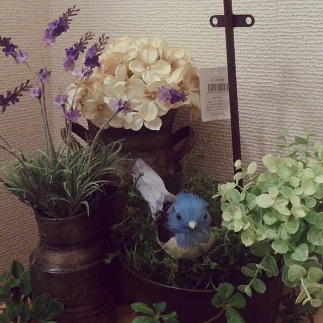 minkokoさんの実例写真