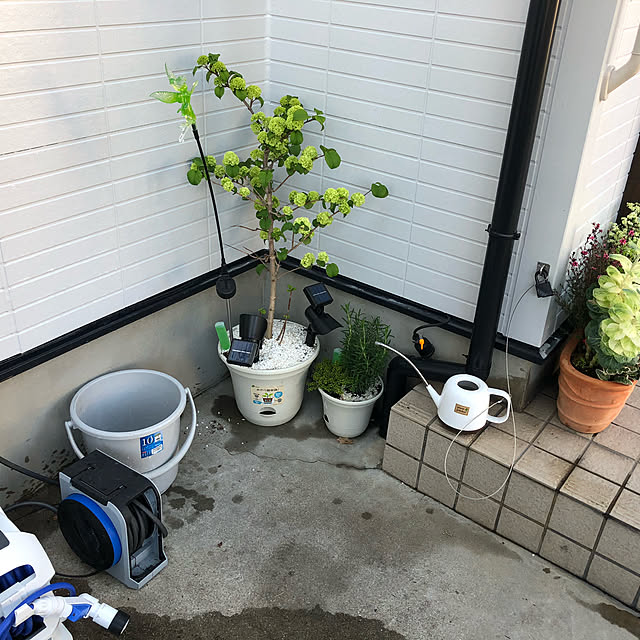 icchanさんの実例写真