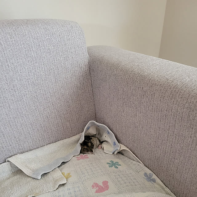 every1149さんの実例写真