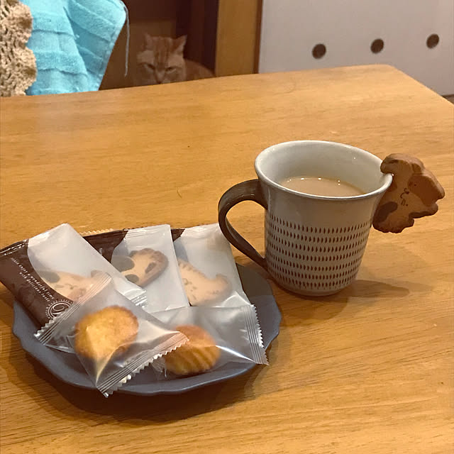 kou-kitiさんの実例写真