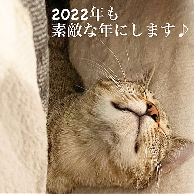 adgjmptwさんの実例写真