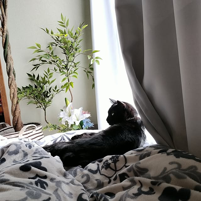 Tさんの実例写真