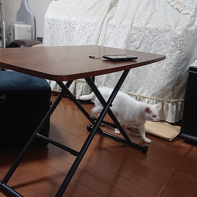 NOAHさんの部屋