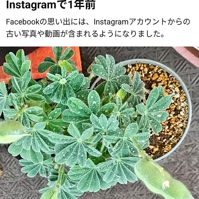 mi-saさんの部屋