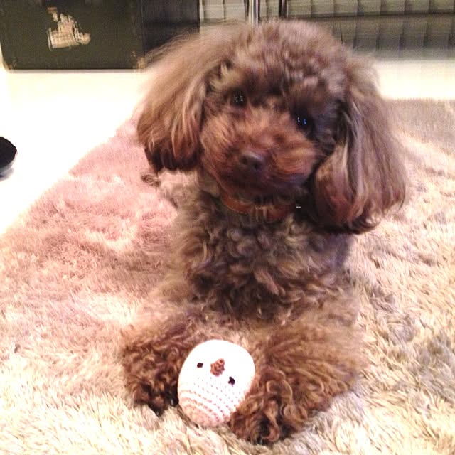 FXさんの実例写真