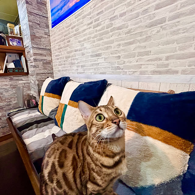 tututu0204さんの実例写真