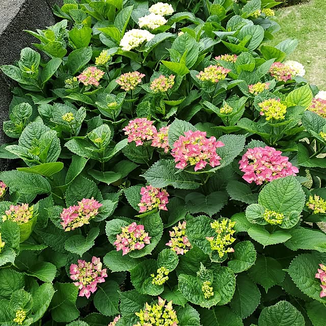ramuramuさんの部屋