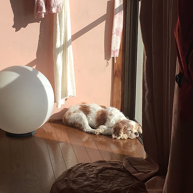 maamiさんの実例写真
