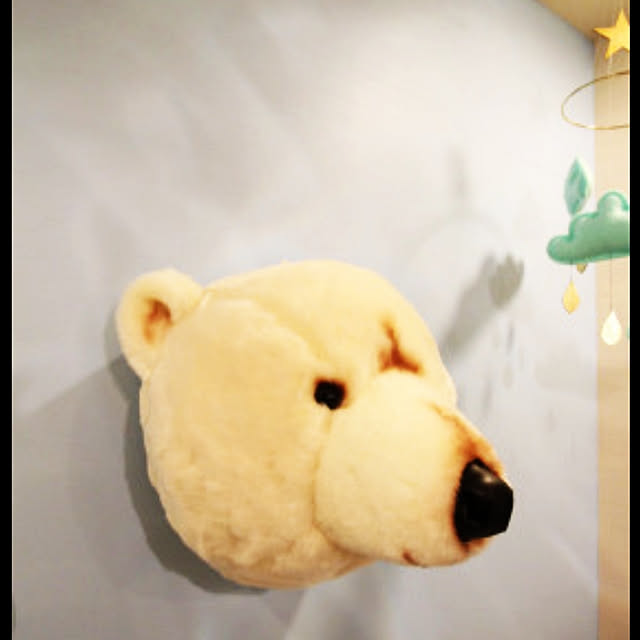 Makoさんの実例写真