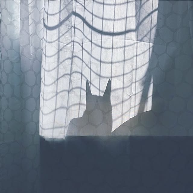 liyitingさんの実例写真