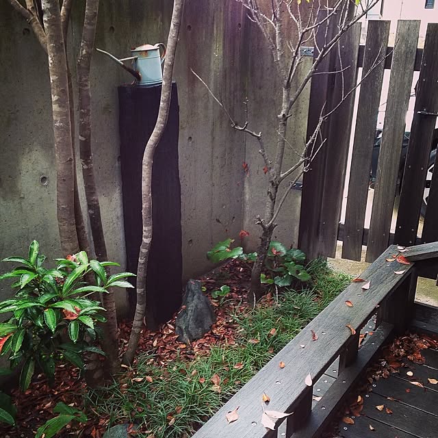 utataneさんの実例写真