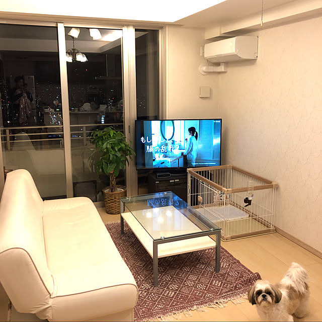 Yuukiさんの実例写真