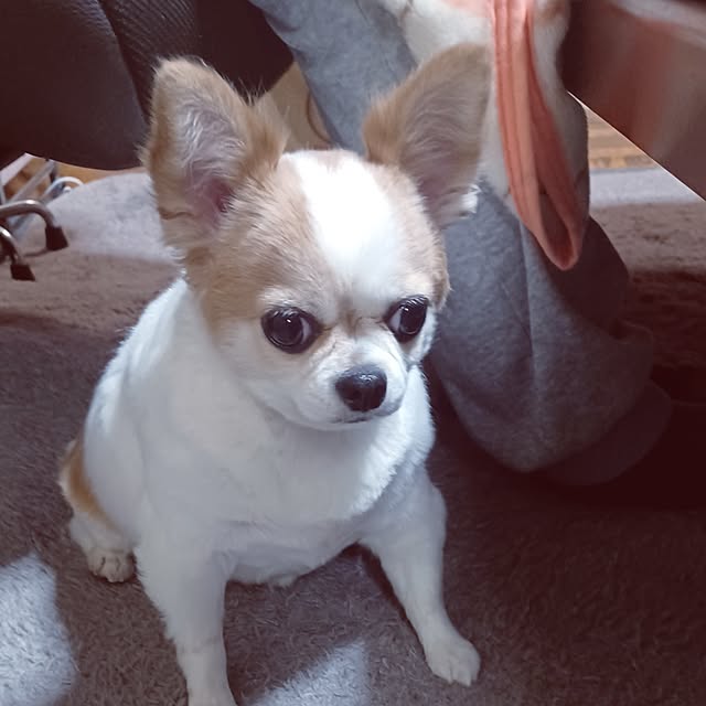 hiro.904さんの部屋