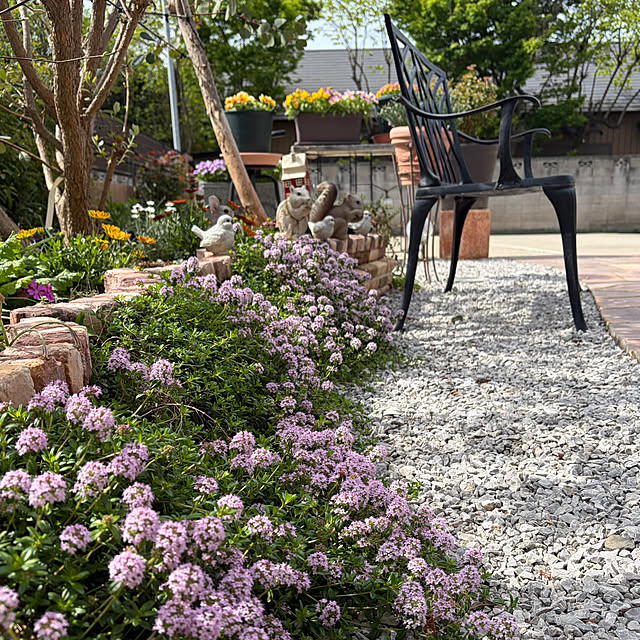 ronronさんの部屋