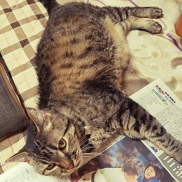 Echanさんの実例写真