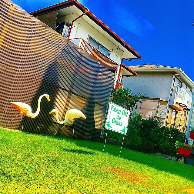 Leftyさんの実例写真