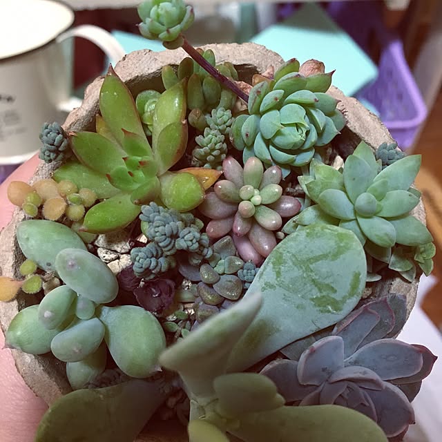CHIROさんの実例写真