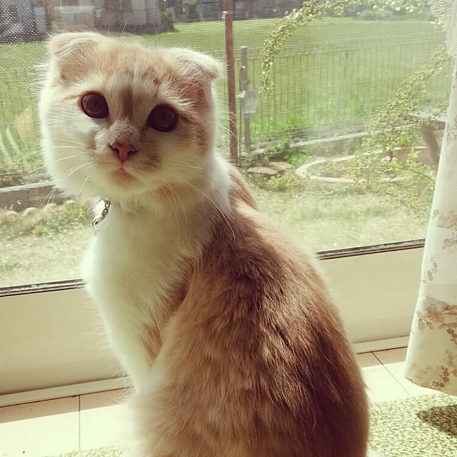 yuさんの実例写真