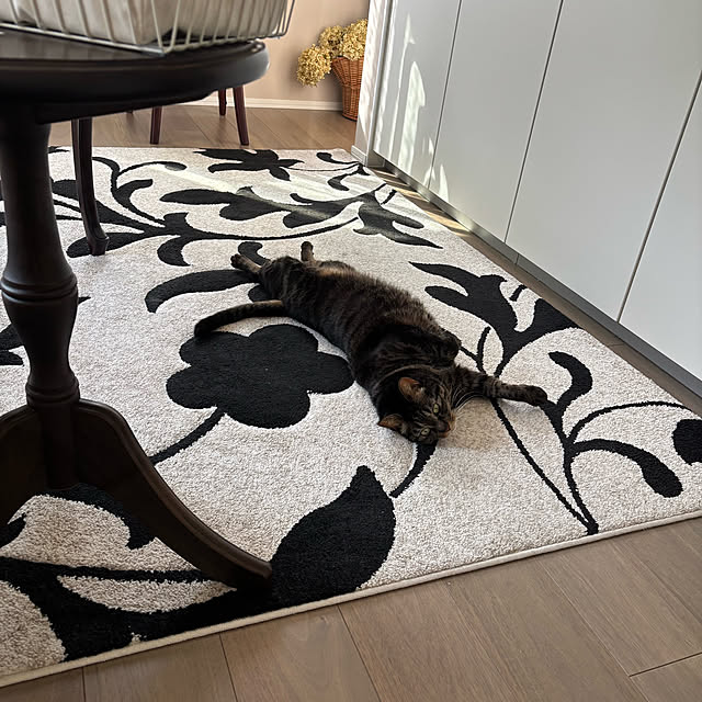 momocchiさんの部屋