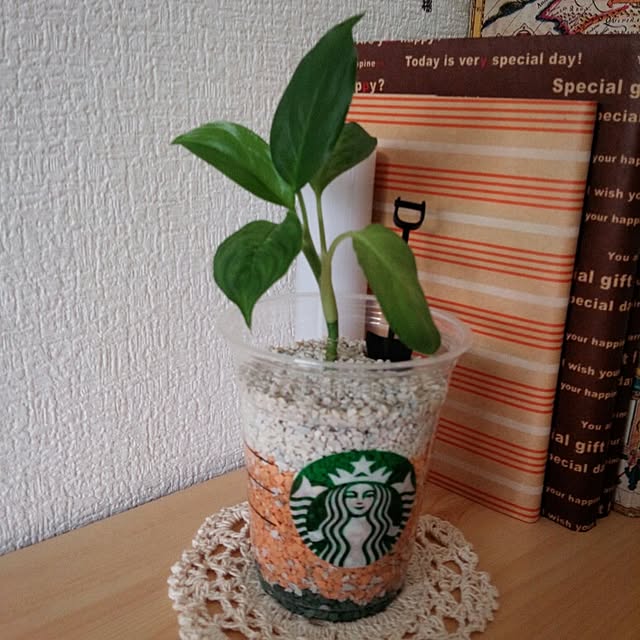 ERiさんの実例写真