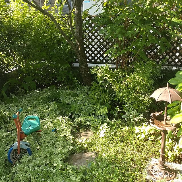 Hujikoさんの部屋