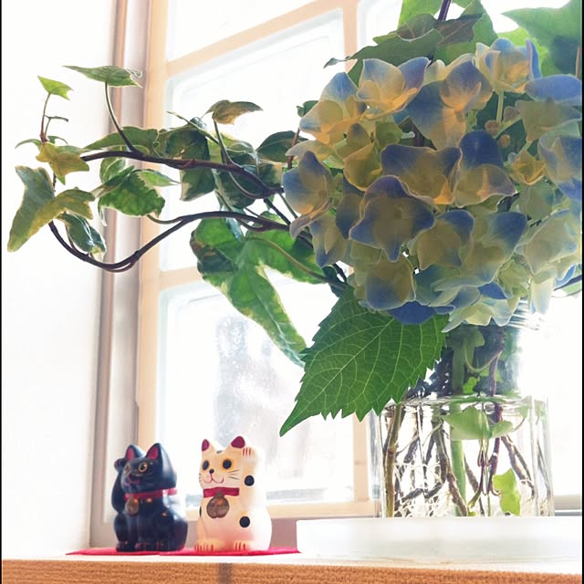 sachiさんの実例写真