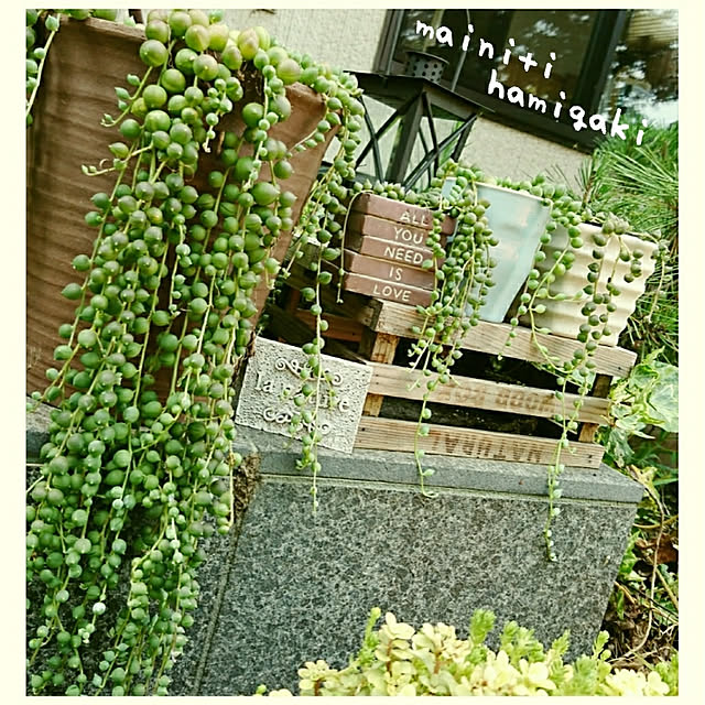 玄関/入り口/グリーンネックレスのある暮らし/グリーンのある暮らし/ナチュラルシンプル/シンプルナチュラル...などのインテリア実例 - 2017-07-27 07:13:39