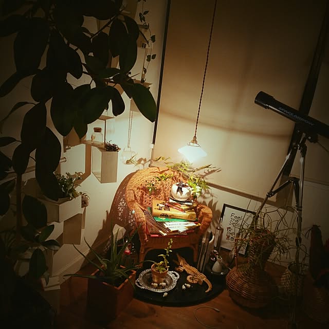 kaorinさんの実例写真