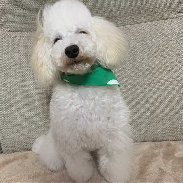 BUNさんの実例写真