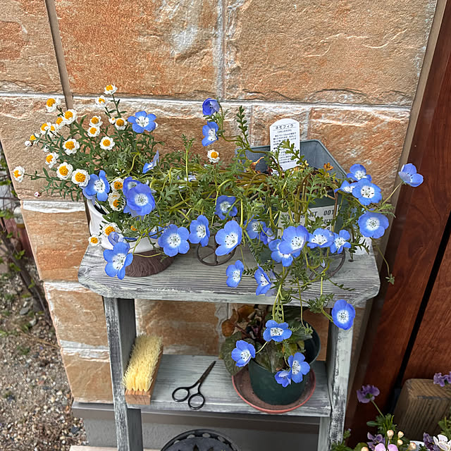 ayayayayaさんの部屋