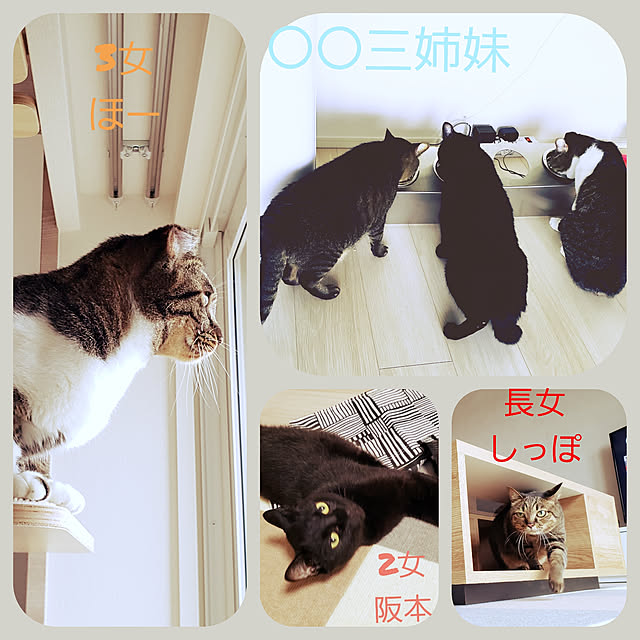 c1a9l6m5aさんの実例写真