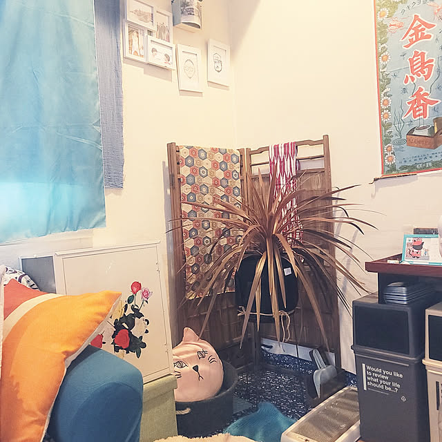 airuhinaさんの実例写真