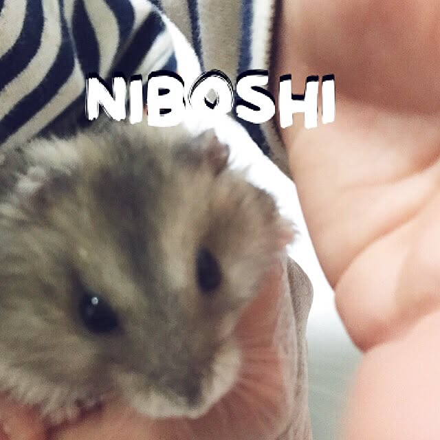 chiiiii0808さんの実例写真
