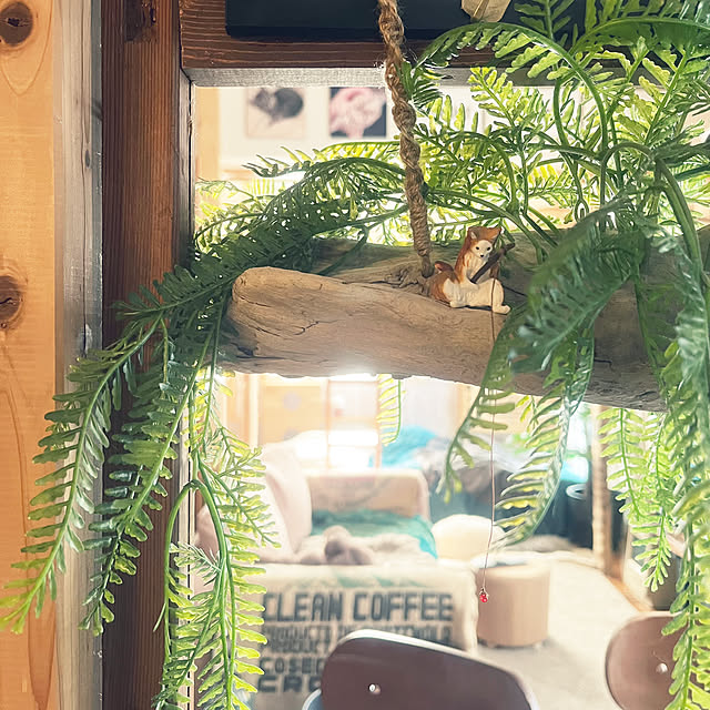 Mさんの部屋
