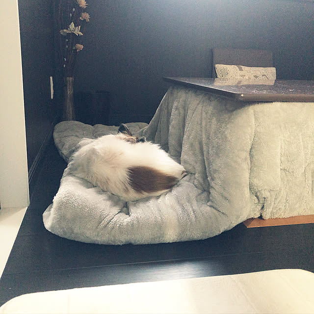 hiroさんの実例写真