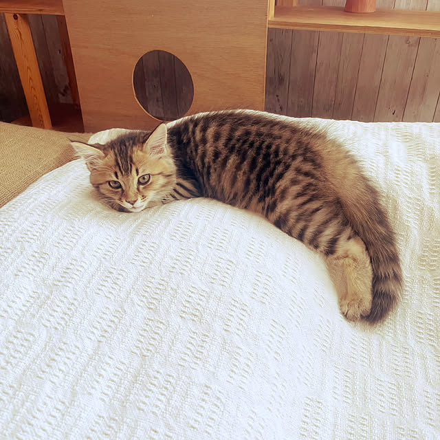 Mさんの部屋