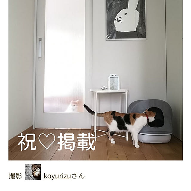 koyurizuさんの実例写真