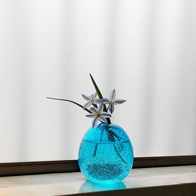 Renさんの実例写真