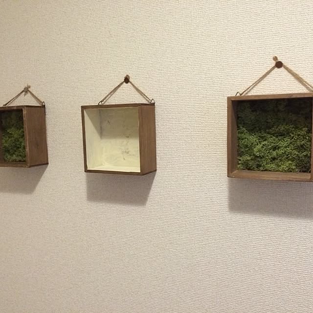 PetitoFululuさんの実例写真