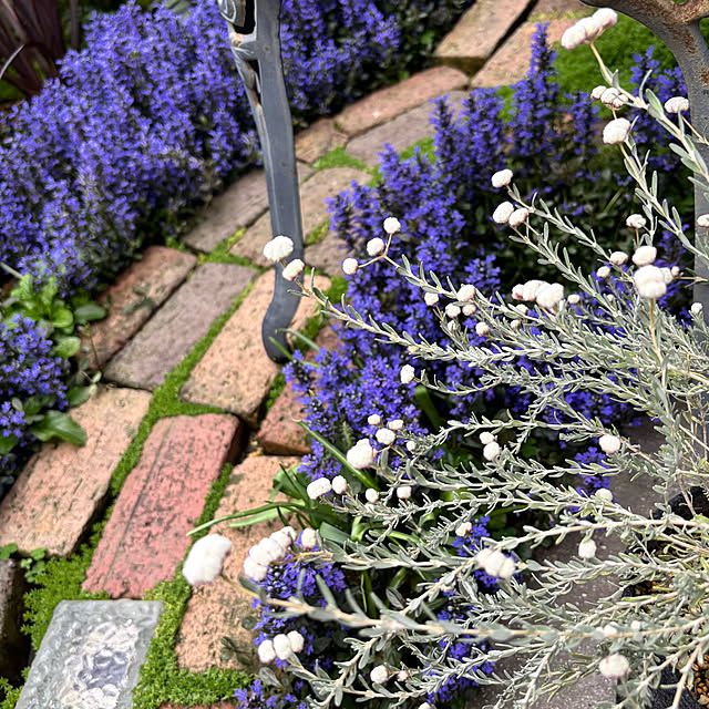 kyoko1124koさんの部屋