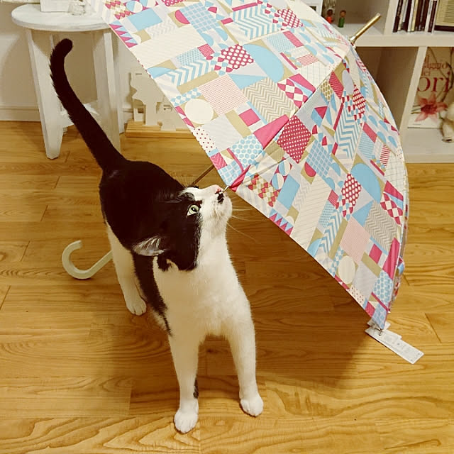 Mooさんの実例写真