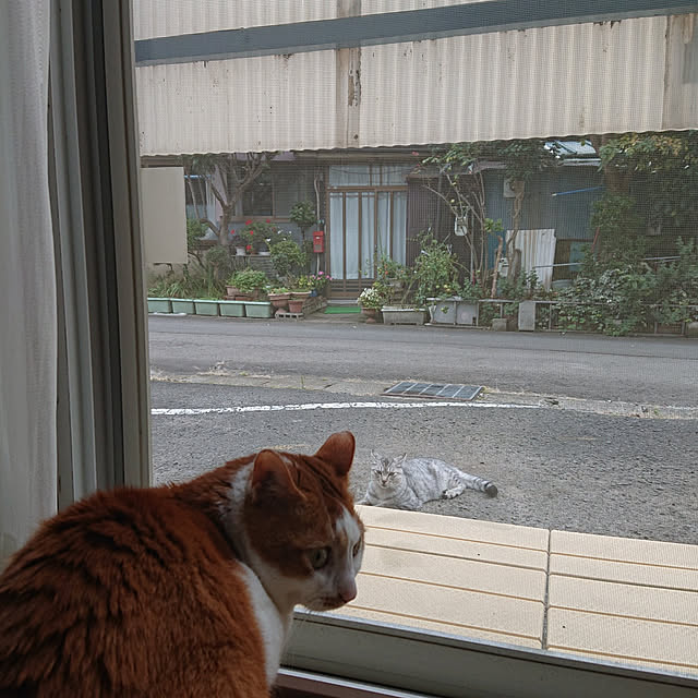 mugi77327732さんの実例写真