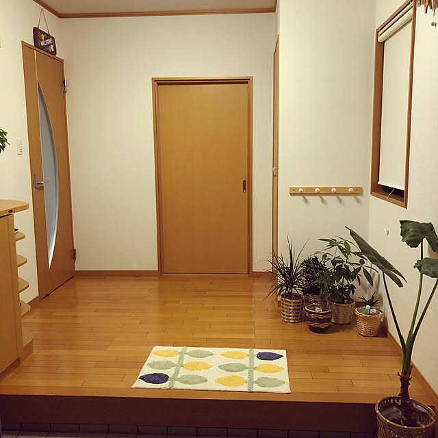 玄関/入り口/ナチュラル/観葉植物のインテリア実例 - 2018-11-10 17:22:44
