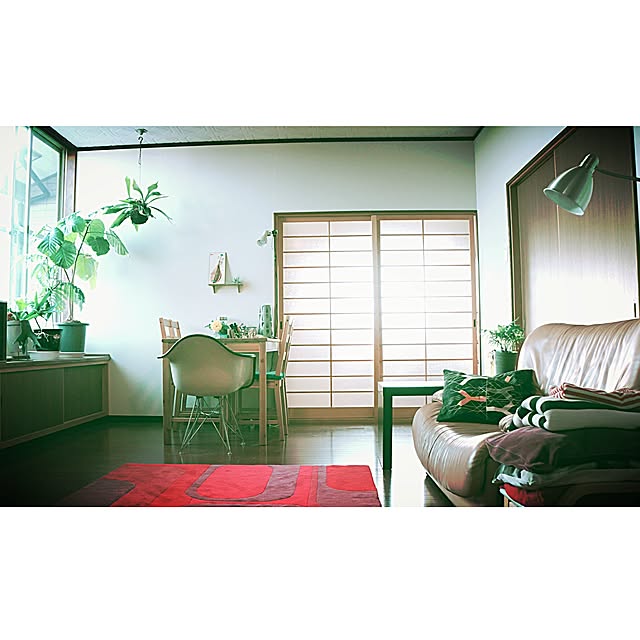 STKさんの実例写真