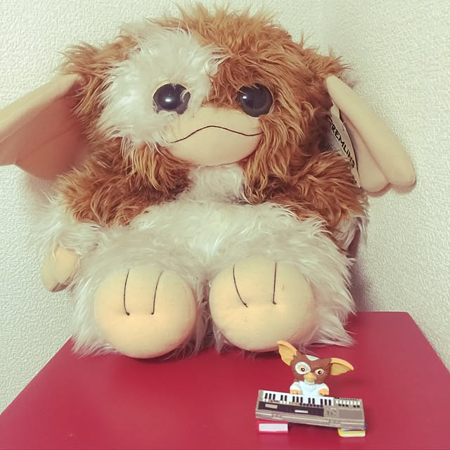 xxxakyxxxさんの実例写真