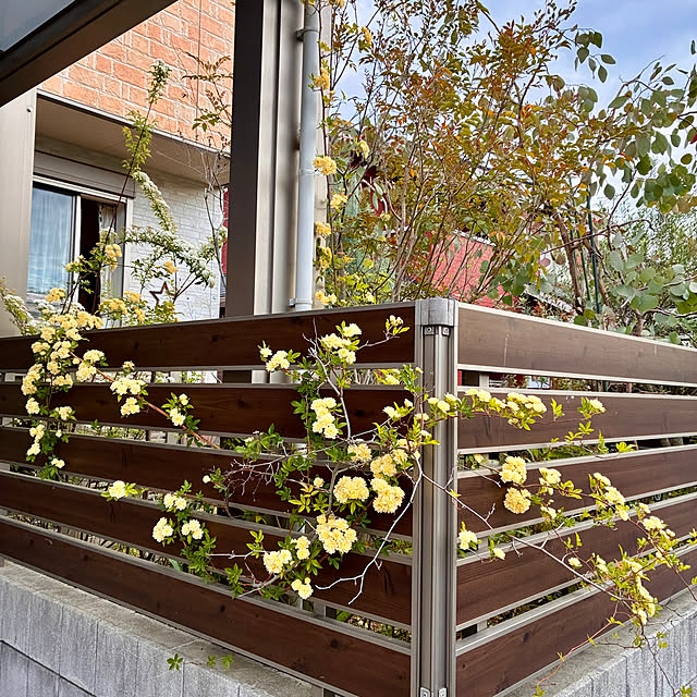 ayayayayaさんの部屋