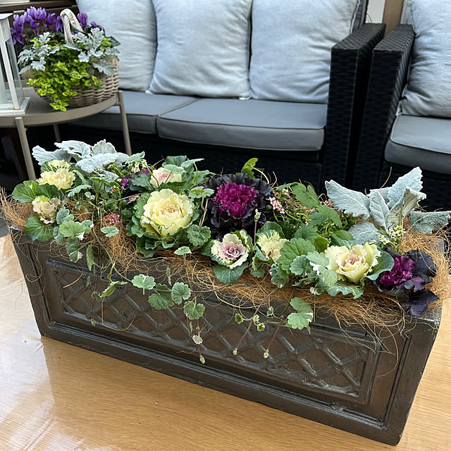 felicityさんの実例写真